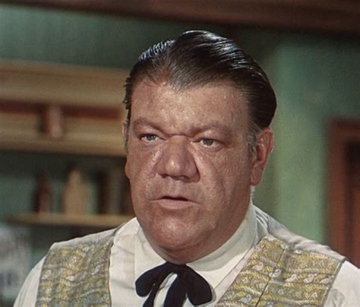 Harry Swoger Biography, Age, Height, Wife, Net Worth, Family