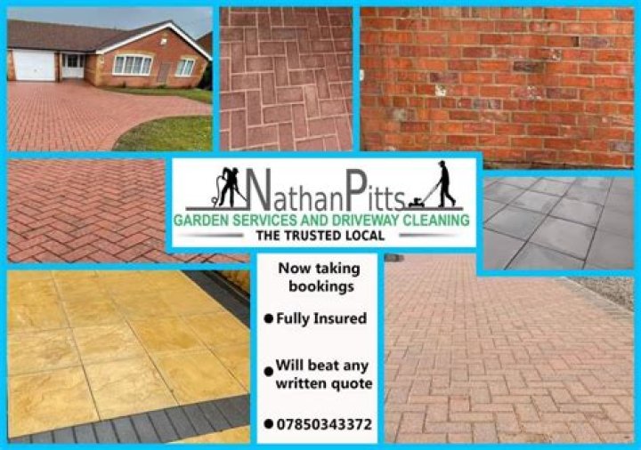 Nathan Pitts Biography, Age, Height, Wife, Net Worth and Family