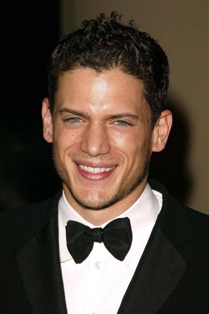 Wentworth Miller Biography, Age, Height, Wife, Net Worth, Family